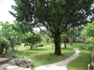 Beachfront Apartment 4526-2 - Punat - 7