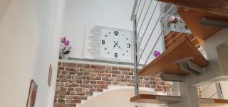 La casa di Balto, un nido per 2 - 7