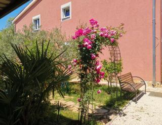 Apartments Babić - Fažana - 9
