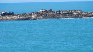 C Cottage Right On The C Diaz Beach Mossel Bay South Africa - Mosselbaai - 8