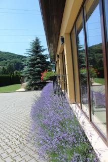 Vila Trapez - Braşov - 6