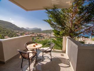 Mum's Apartment - Petrovac na Moru - 6