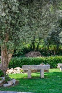 Quinta da Mourinha - 8