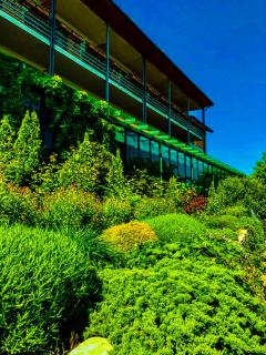 Savaneti Eco Hotel - 1