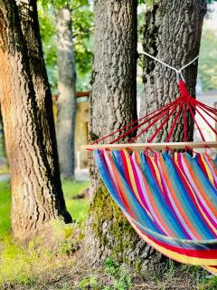 Pop Аrt Bungalows - 3