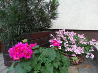 Niedaleko Morza - Władysławowo - 4