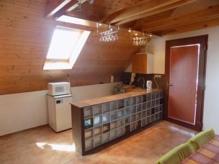 Ubytování Apartmány Ferenčíková - Nové Hrady - 1