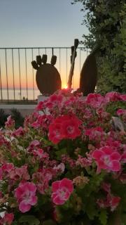 stella di ponente - 2