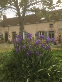 By The Wayside - Lussac-les-Églises - 9
