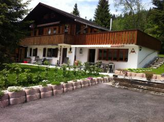 Chalet Erika - Eriz - 8