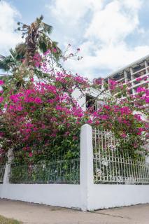Casa MIKONOS - Cartagena de Indias - 2