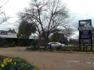 Milawa Motel - Milawa - 2