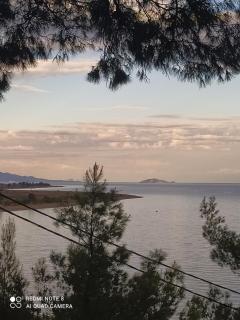 Pefkonas Apartments 100 m from the beach - Psakoudia - 8