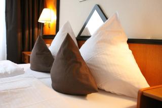 Waldhotel Berghof - Luisenthal - 9