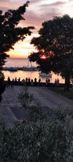 ARIA deluxe SUPERIOR 5 star apartment, your piece of heaven by the sea & park, with sea & park view - Novigrad - 6