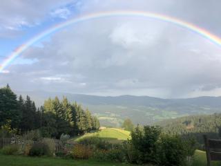 Pension Pichlbauer - Reichenfels - 9