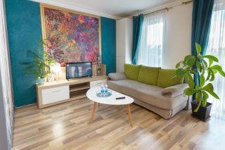 Gold Class Apartments AMS - Cluj-Napoca - 9