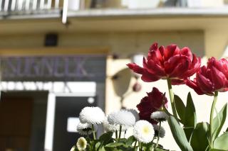 Haus Sonneck - Marburg - 0