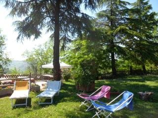 Agriturismo La Quiete - Roncofreddo - 4