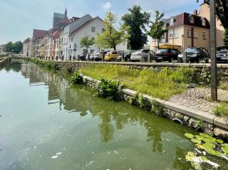 Kutscher's Ostsee FeWo - kostenlos Parken - Wismar - 1
