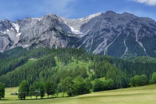 Hotel Stierer - Ramsau am Dachstein - 8