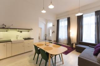 Palace District Apartment - Budapest - 9