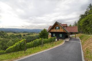 Ferienhaus Wagnerfranzl - 8