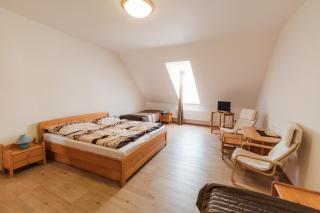 Hotel Pod Zámkem - Vranov nad Dyjí - 9