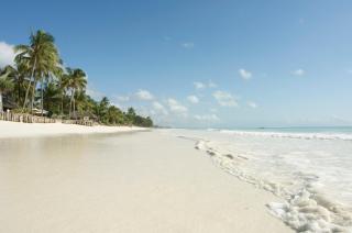 Bluebay Beach Resort & Spa - Kiwengwa - 8