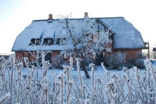 Ferienwohnung unter Reet - Westerhever - 6