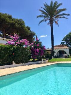 Apartamento a 25 metros del mar - 7