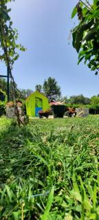 Home Šćekić - 6
