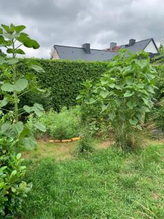Gemütliches Ferienhaus mit Garten - Oranienbaum-Wörlitz - 7