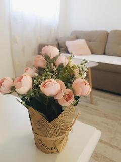 Apartment Jovana - Igalo - 9