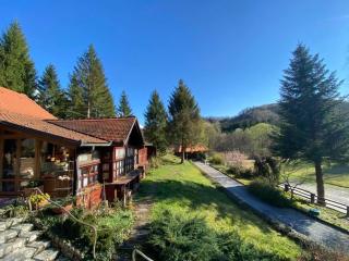Holiday Home Tonkina kuća - Trakošćan - 8