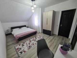 Pensiunea Lavanda, Piatra-Neamț - 1