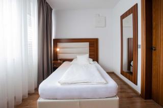 ZUM ZIEL Hotel Grenzach-Wyhlen bei Basel - Grenzach-Wyhlen - 3