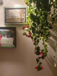 Anastasia's boutique apartment - 5