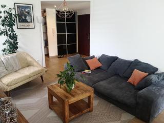 Appartement meublé tout confort - Scionzier - 1