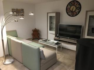 GITE FLEURS DE VIGNES - 1