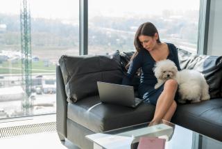 Apartament Diamond - 9