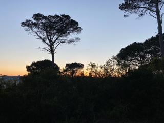 Quinta Casal da Eva - 1