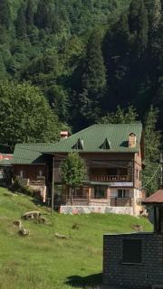 Guesthouse Dolunay - Ayder Yaylasi - 0