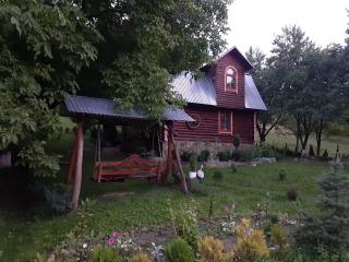 Дерев'яний будинок з банею - Oriv - 6