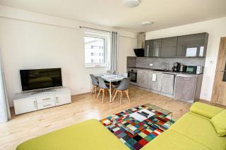 Green apartment Klínovec by Mountain ways - Loučná pod Klínovcem - 4