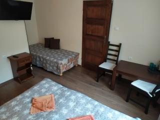 Willa Kamil w Centrum - 1