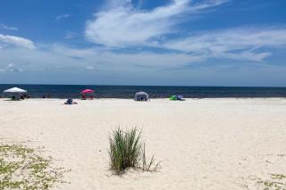 Paradise in the Palms - Mexico Beach - 7