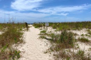 Paradise in the Palms - Mexico Beach - 6