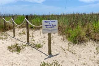 Paradise in the Palms - Mexico Beach - 5