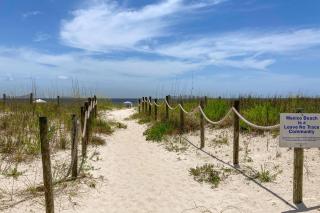 Paradise in the Palms - Mexico Beach - 4